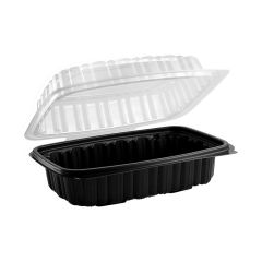 Anchor Packaging 4656910 9″ x 6″ Plastic Hinged Container