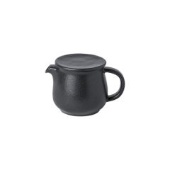 Costa Nova RTX161-ARD Roda 17oz Tea Pot w/ Infuser, Ardosia