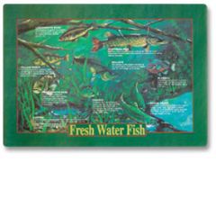 Hoffmaster 310979 Fresh Water Fish Recycled Paper Placemat