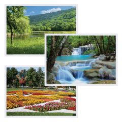 Hoffmaster 702077 Summer Multipack Placemats, Paper, 10"X14"