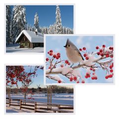 Hoffmaster 702079 Winter Multipack Placemats, Paper, 10"X14"